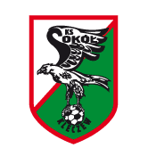 https://img.bdaidu.net/img/football/team/e6a8908dd206e2ea02d9803c82c60bba.png